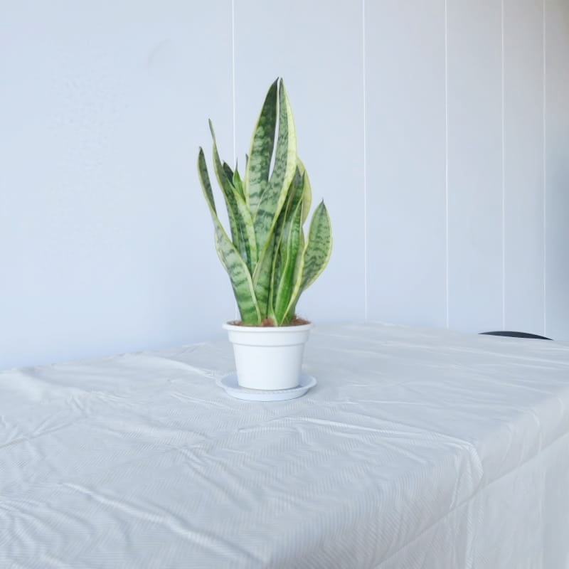 Beige Flannel Tablecloth