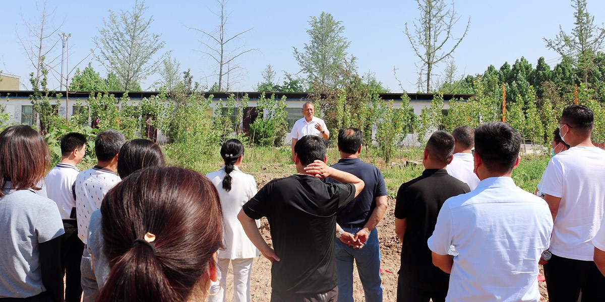 Culture d'entreprise