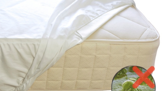 Mattress Protector: A Necessity for Health and Comfort