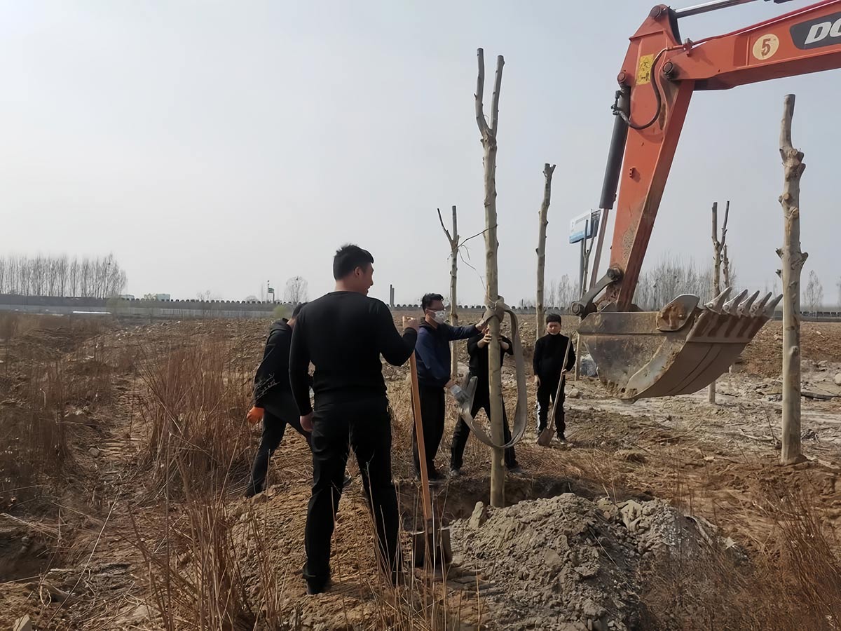 Wydarzenie sadzenia drzew w kwietniu 2024 r