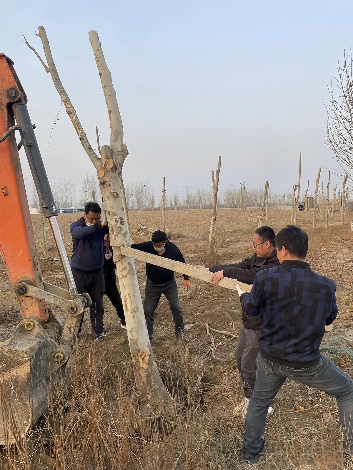 Wydarzenie sadzenia drzew w kwietniu 2024 r