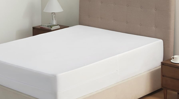 Vinyl Mattress Protector