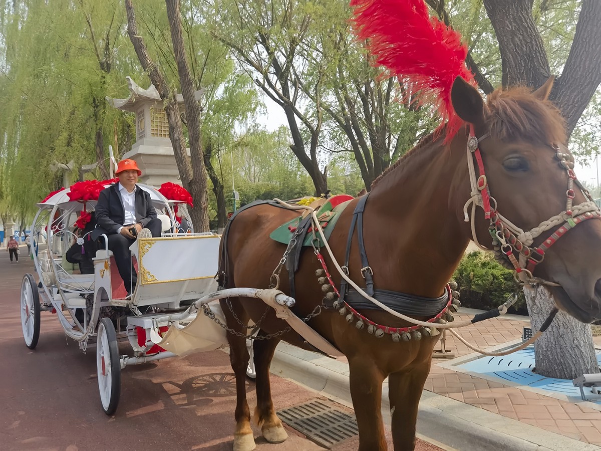 Gira de primavera de abril de 2024