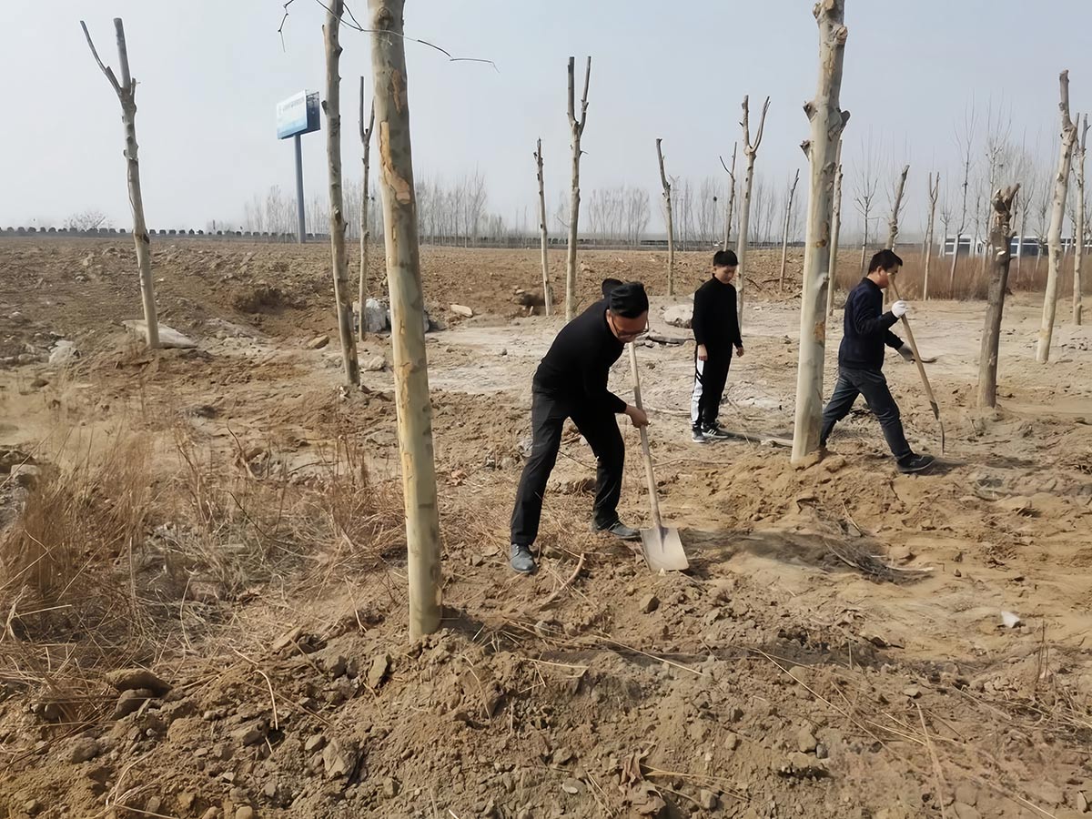 Wydarzenie sadzenia drzew w kwietniu 2024 r