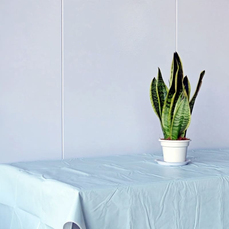 Blue Plastic Tablecloth