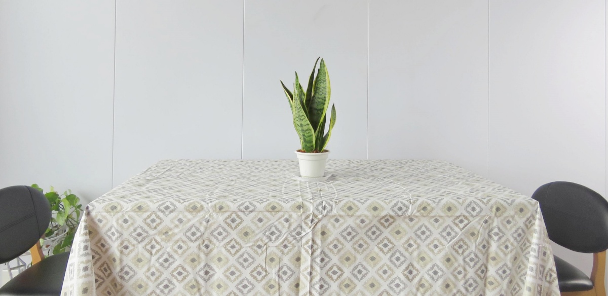 Cream Plastic Tablecloth Cream Plastic Tablecloth